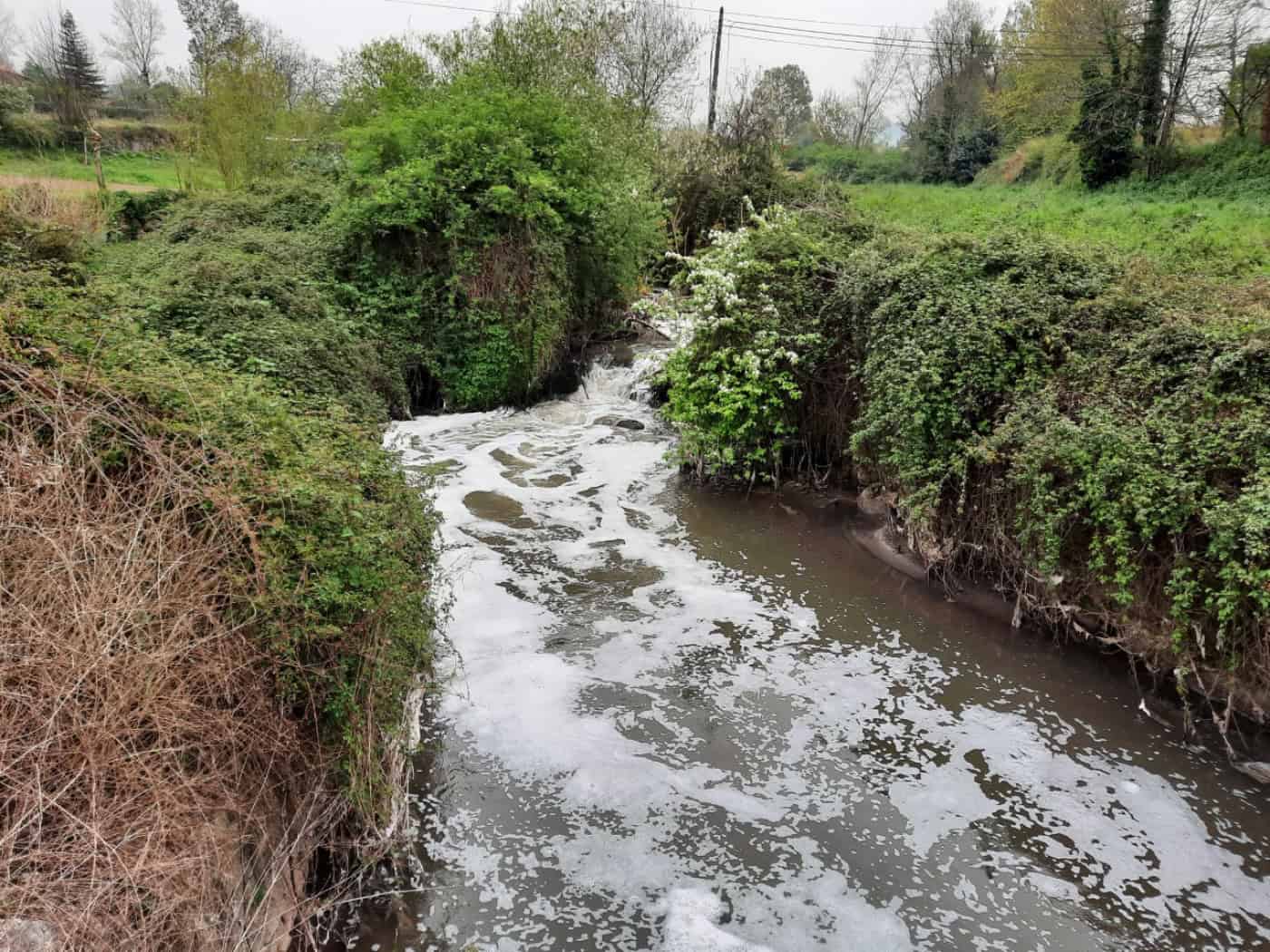 PAN questiona CMB sobre futuro da ETAR de Frossos