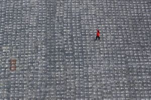 "Não é hora de relaxar". OMS diz que são necessárias novas restrições&nbsp;