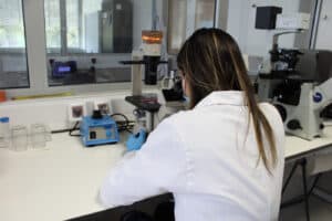 Mais de 100 investigadores em protesto por todas as bolsas prorrogadas