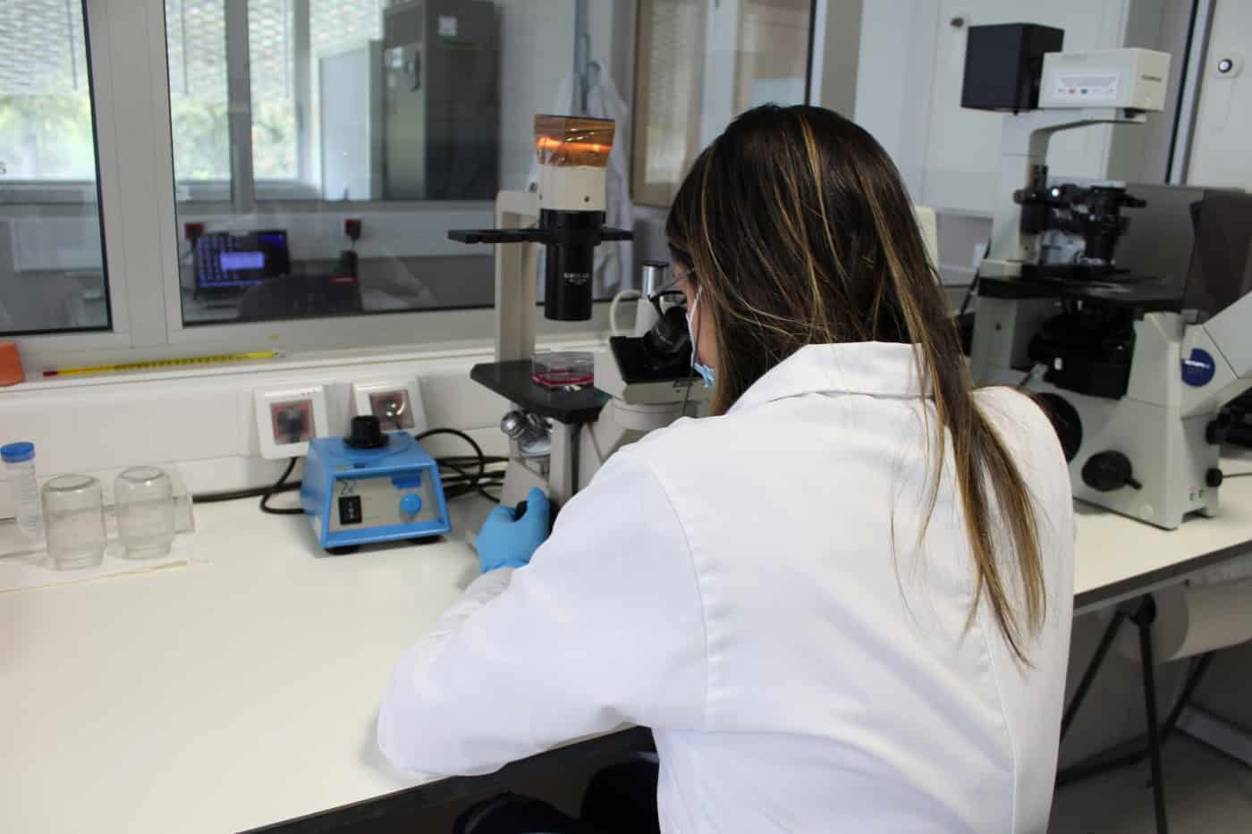 Mais de 100 investigadores em protesto por todas as bolsas prorrogadas