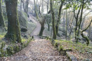 Guimarães vence Prémio Nacional de Sustentabilidade