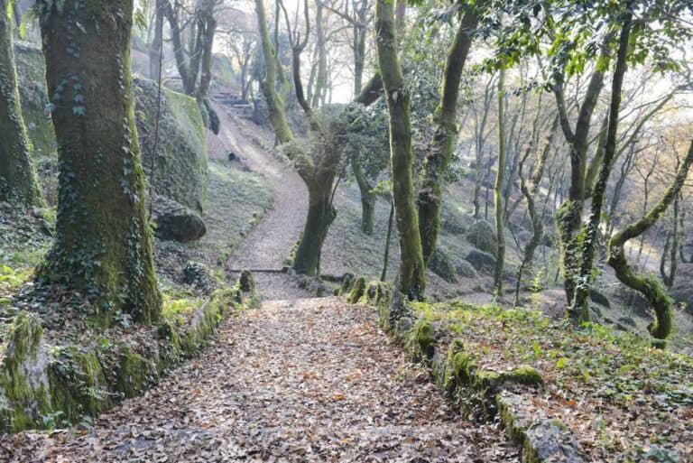 Guimarães vence Prémio Nacional de Sustentabilidade