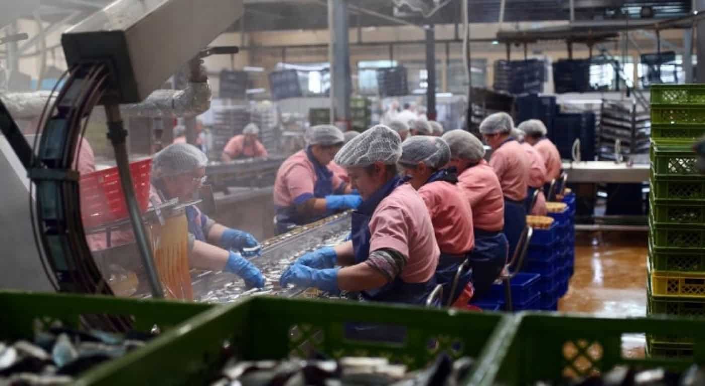 Taxa de emprego recua para os 72,4% em 2020