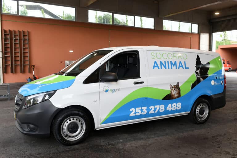 Sapadores de Braga realizaram 246 ações de socorro animal em 2020