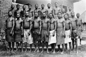 Ministro do Ensino Superior vai estar na inauguração da exposição "O silêncio da terra"