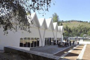 JP Braga organiza 'Team Camp' centrado na eleições autárquicas