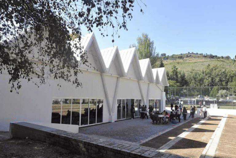 JP Braga organiza 'Team Camp' centrado na eleições autárquicas