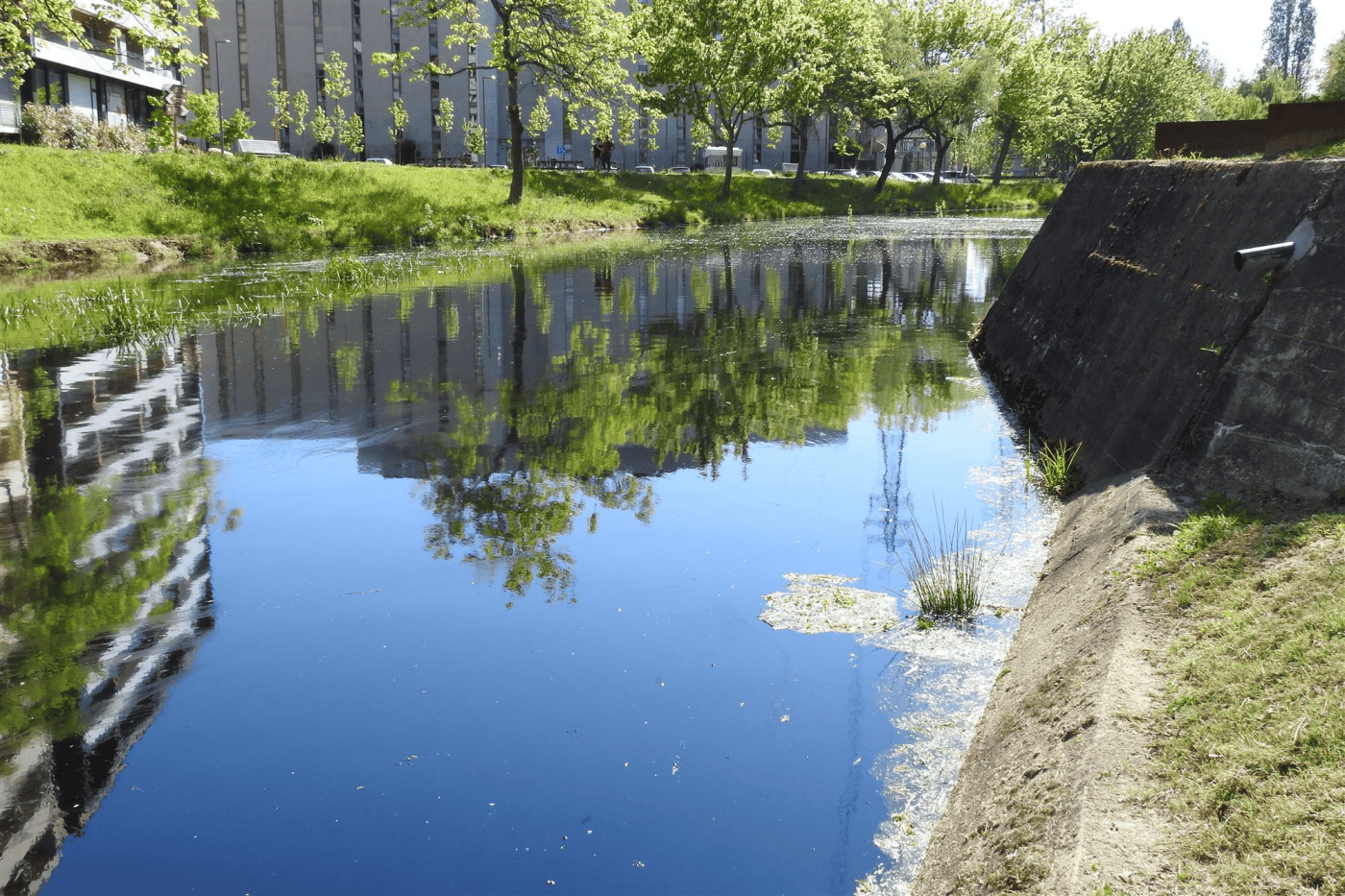 Descargas no Rio Este chegam à Comissão Europeia através do Bloco