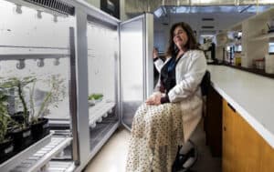 CBMA cria soluções biosustentáveis para setor agroalimentar 