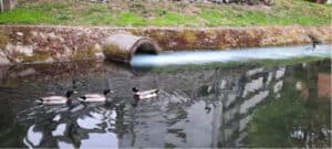 PAN Braga lança petição com objetivo de acabar com poluição no Rio Este