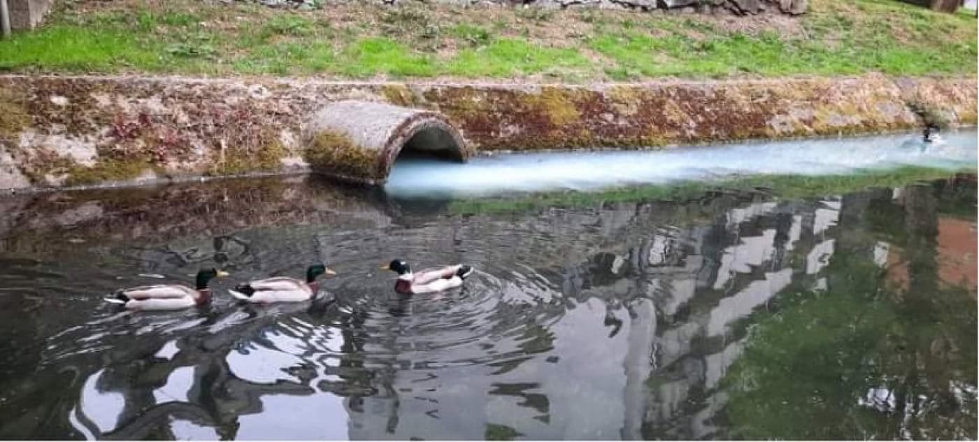 PAN Braga lança petição com objetivo de acabar com poluição no Rio Este