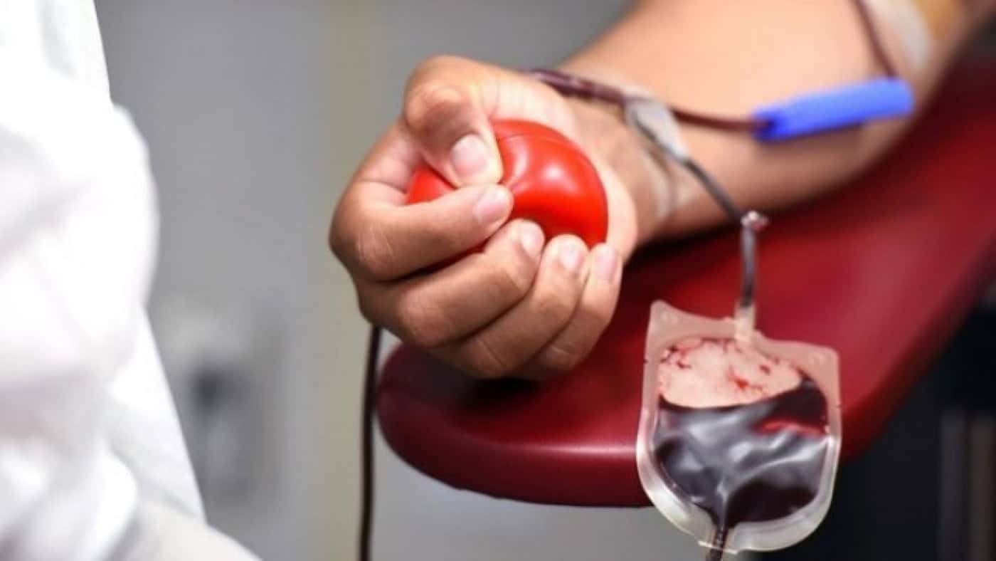 Instituto apela aos portugueses para doarem sangue antes de ir de férias