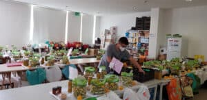 Virar a Página ajuda atualmente cem famílias, mas precisa de voluntários&nbsp;