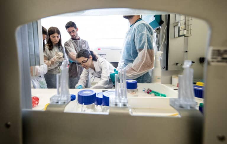 Verão no Campus regista procura superior ao número total de vagas