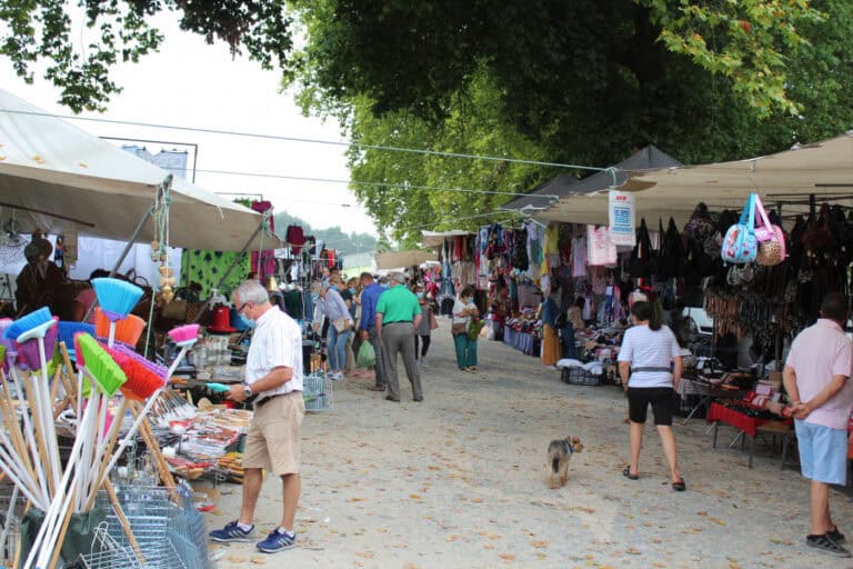 Sanitários encerrados e "falta de organização" preocupam feirantes em Braga