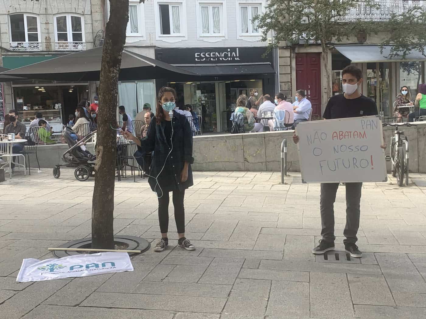PAN de Braga quer Regulamento do Arvoredo Urbano