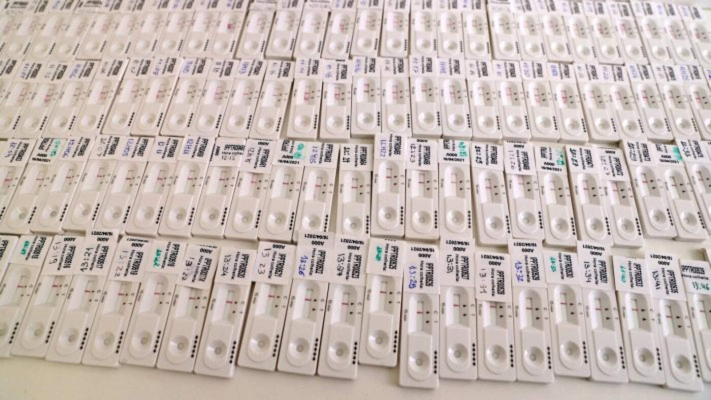 Covid-19. Julho foi o mês com mais testes realizados desde o início da pandemia