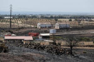 Incêndio de Castro Marim dominado 
