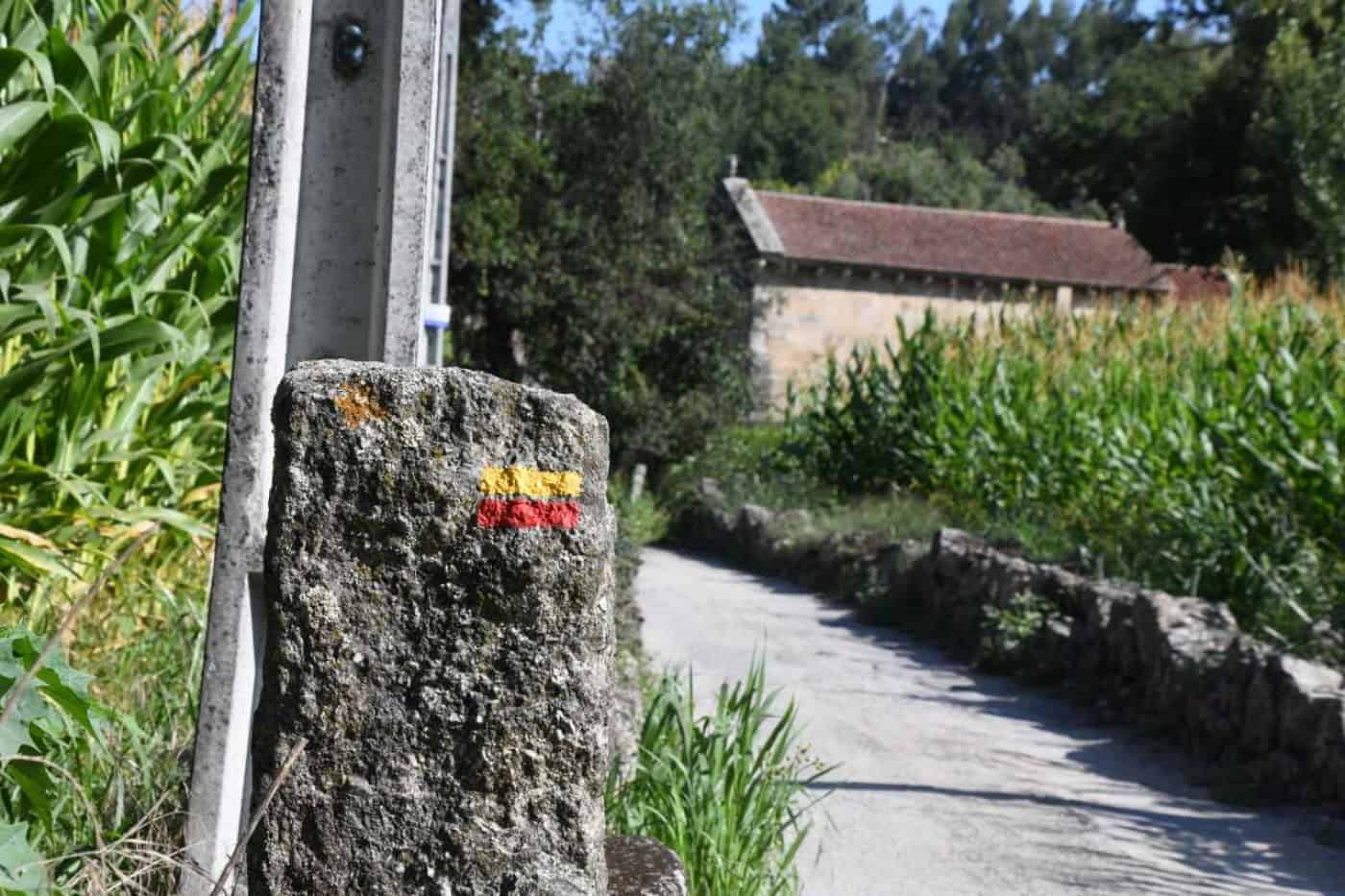 Trilhos de Famalicão já estão sinalizados