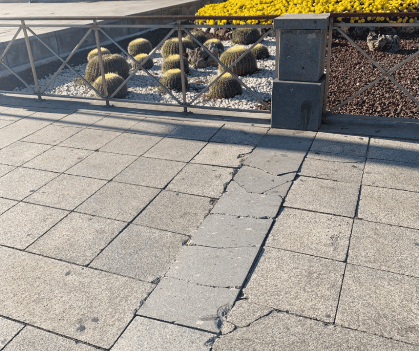 Braga Para Todos volta a alertar para degradação do pavimento na Praça da República