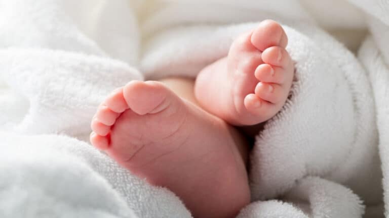 Pandemia reduziu natalidade, especialmente em Portugal, Espanha e Itália&nbsp;