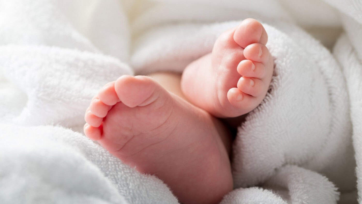 Pandemia reduziu natalidade, especialmente em Portugal, Espanha e Itália