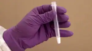 Delta é a única variante em circulação em Portugal