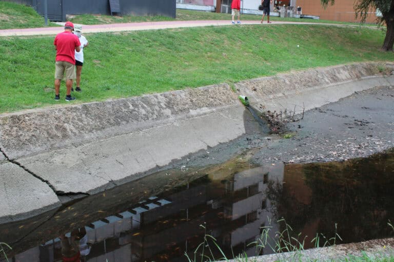 Nova descarga no rio Este provoca a morte de centenas de peixes