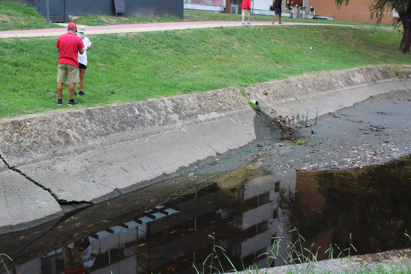Nova descarga no rio Este provoca a morte de centenas de peixes