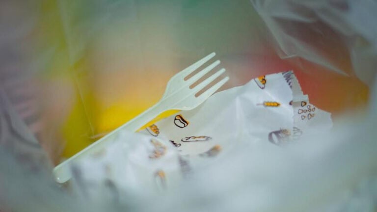 Venda de cotonetes, palhinhas, pratos e talheres de plástico proibida a partir de novembro&nbsp;