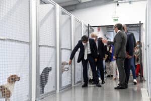 Canil de Famalicão. Cerca de 30 animais adotados por mês