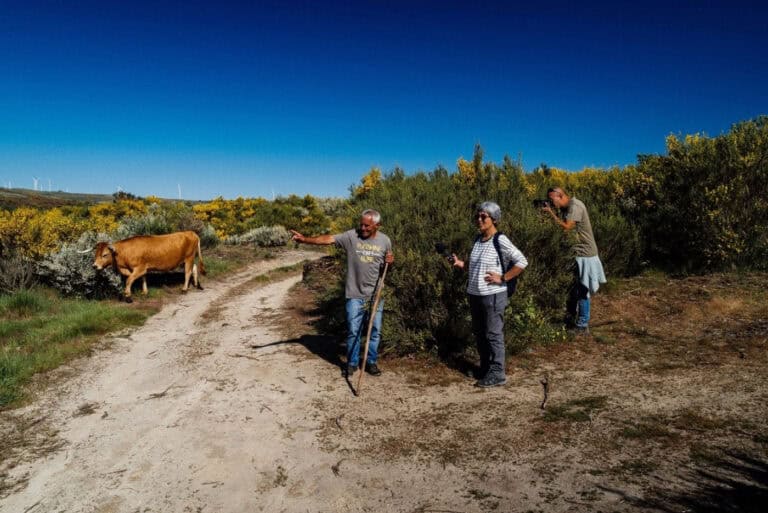 Alumni fazem "do país a sua casa" e lançam portal para divulgar aldeias do interior