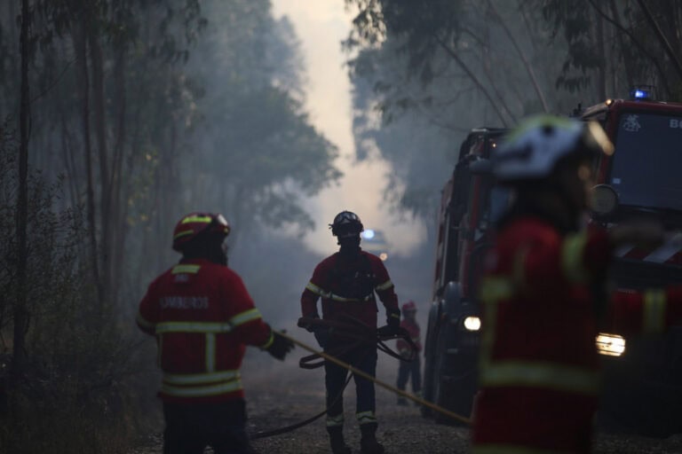 Época mais crítica de incêndios termina com menor número de fogos da última década&nbsp;
