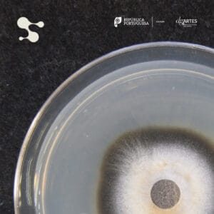 Investigadora da Universidade do Minho inspira performance apresentada em Barcelos