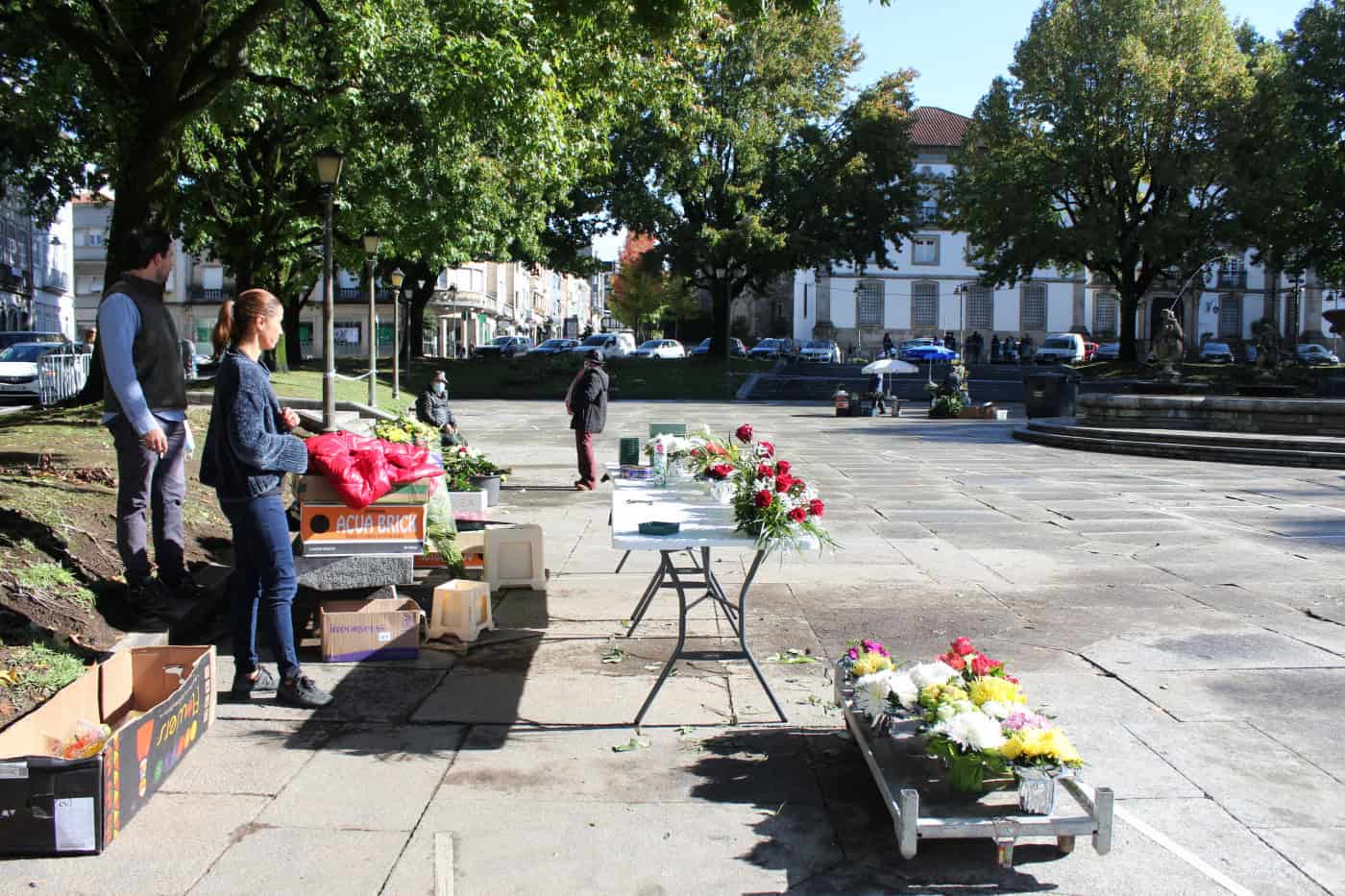 Crise nos combustíveis inflaciona preços das flores mas vendas aumentam