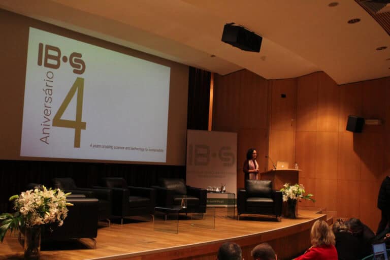 IB-S desenvolve mais de 50 projetos orçados num total de 12ME