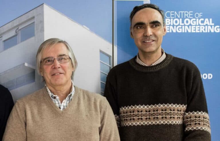 UMinho volta a ter dois dos cientistas mais citados no mundo