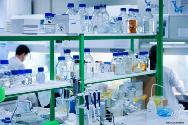 Eleições Comissão de Trabalhadores: 412 já votaram