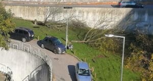 CMB garante que moradores sabiam do abate de árvores na Praça do Bocage&nbsp;