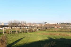 Parque lúdico e radical de Famalicão vai nascer em terreno de 58 mil metros quadrados