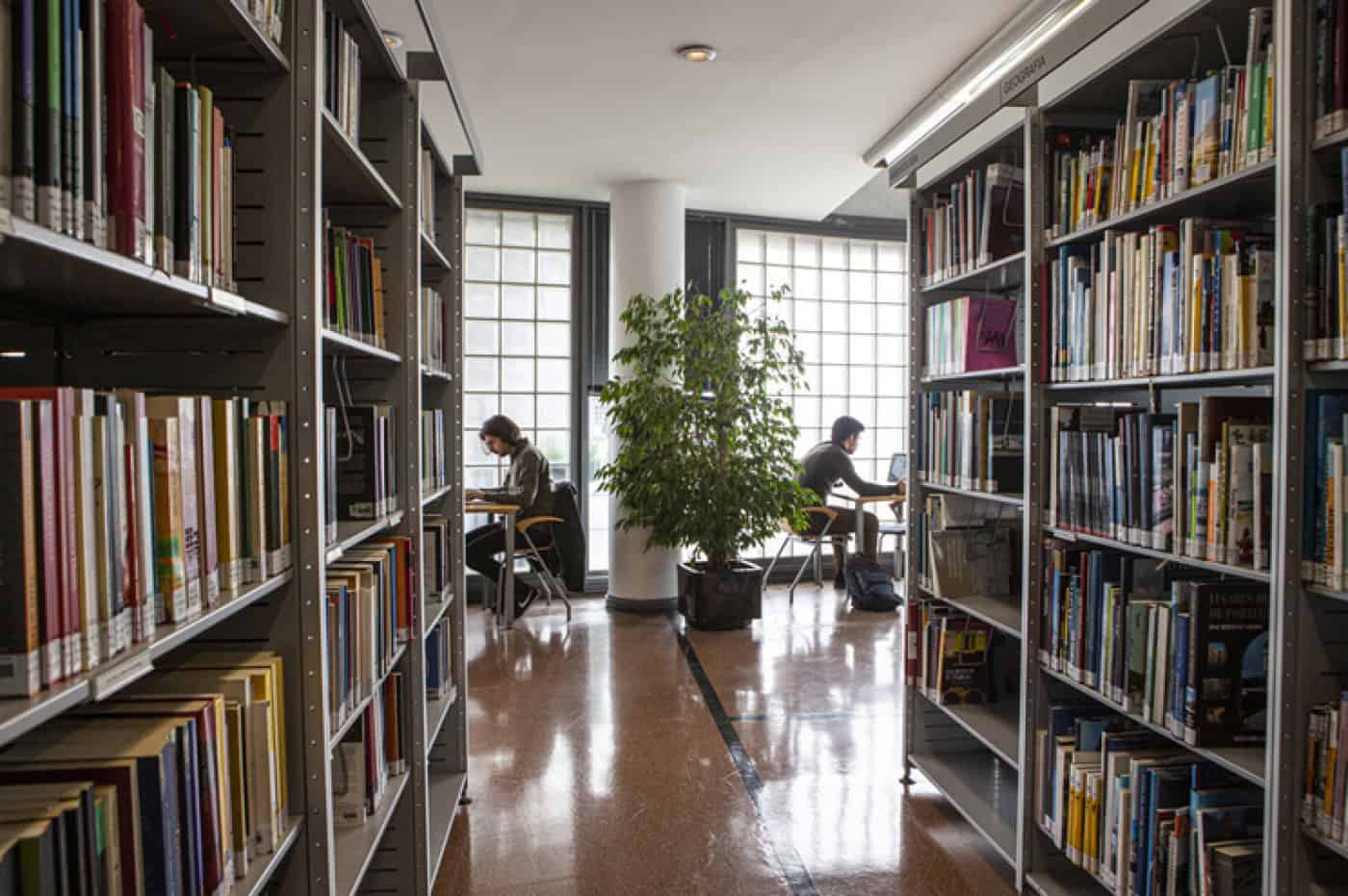 “17 anos de Páginas abertas à comunidade”. BLCS está de parabéns