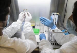 Variante Ómicron atinge prevalência de 82,9% em Portugal