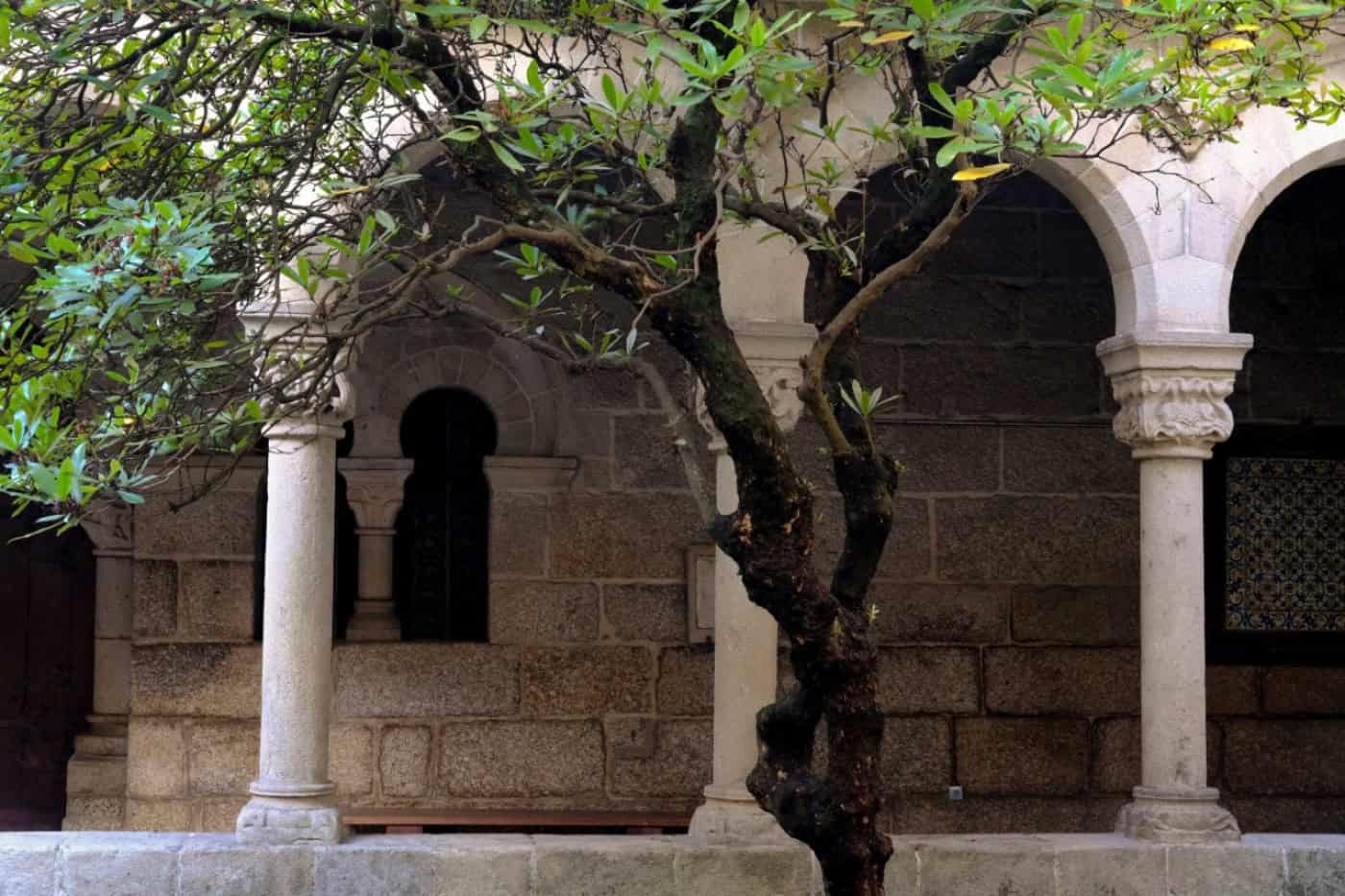 Guimarães recebe exposição ’Afetos Produzidos - Produção Afetada’