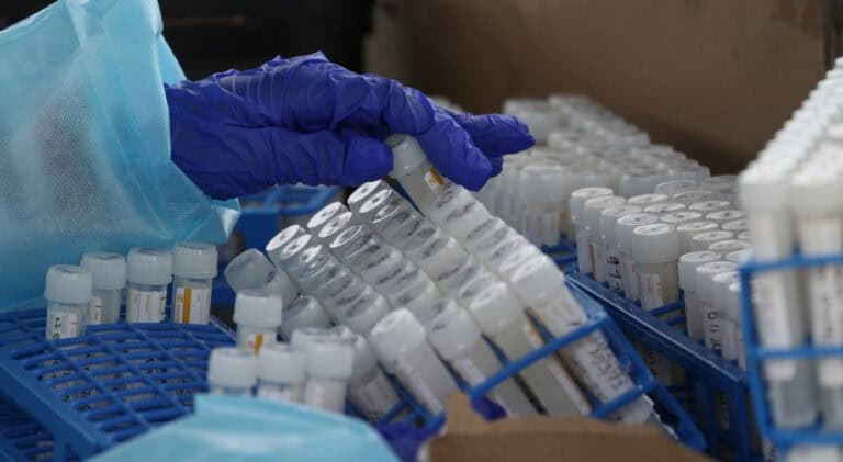 Portugal regista mais 47.199 novas infeções e 50 mortes por Covid-19