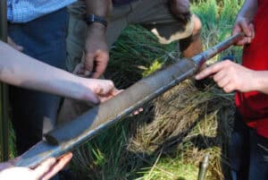 Peste Negra teve impacto menos devastador na Península Ibérica