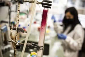 Aberto o concurso para 40 Bolsas de Doutoramento do MIT Portugal