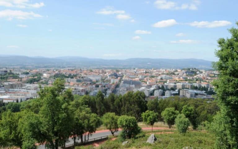 Ordenamento florestal em Braga não melhorou desde 2017