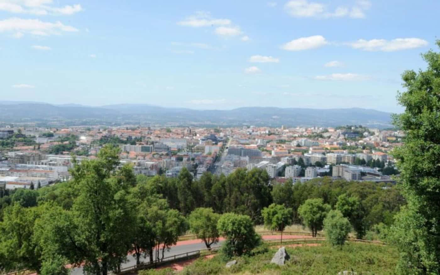 Ordenamento florestal em Braga não melhorou desde 2017