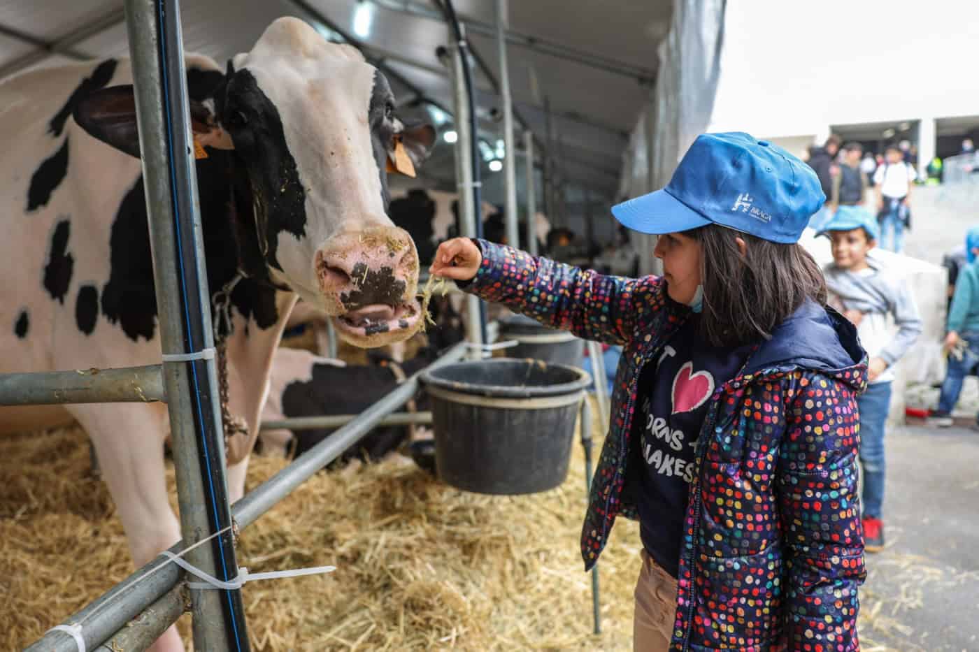 Regresso da AGRO cativou quase 40 mil pessoas