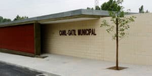 Sociedade Protetora dos Animais desespera por melhores condições no CRO de Guimarães